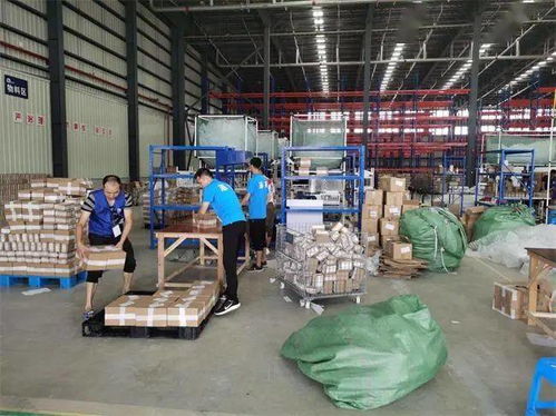 溫州開(kāi)通跨境電商網(wǎng)購(gòu)保稅進(jìn)口業(yè)務(wù) 全球商品貿(mào)易港首日交易超2000單