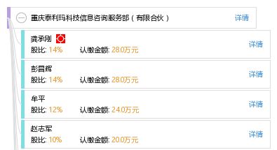 立足專業，服務未來 重慶泰利瑪科技信息咨詢服務部的信息技術咨詢服務